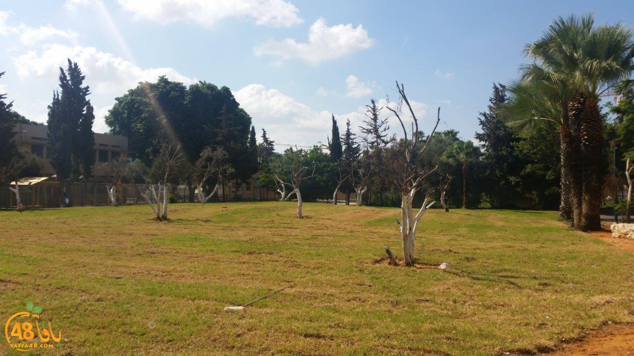 gardent tempereery (4).jpg